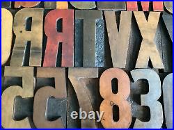 Vintage Wood Letterpress Printing Type Graphic Art Typography Print 50 Piece